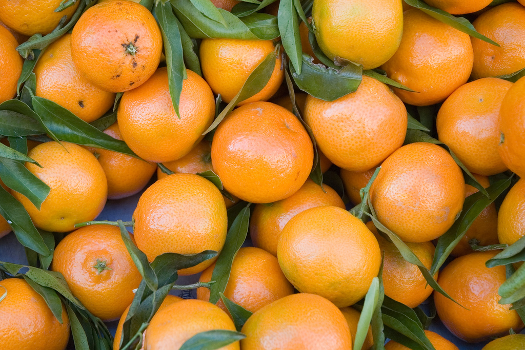 holiday-food-words-the-darling-clementine-wordnik