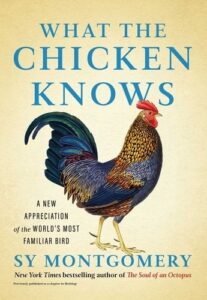 cover of What the Chicken Knows