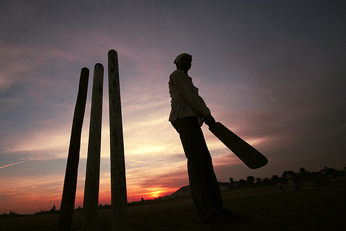 Cricket!